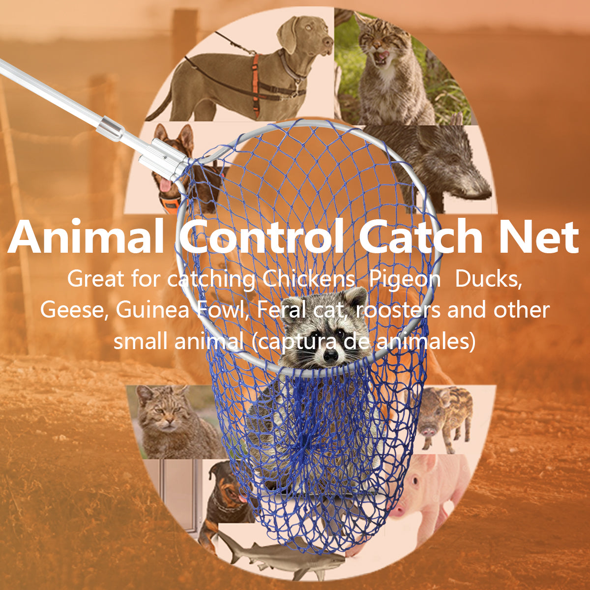 Animal Control Catch Net Pole Tool for Poultry and Small Animals (61" Handle with 17.7" Diameter Bow)