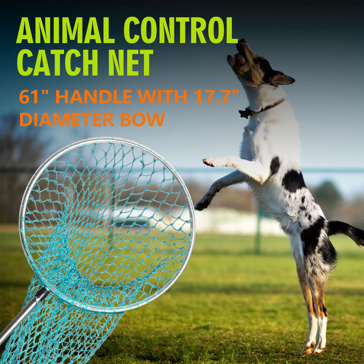 Stainless Steel Animal Control Catch Net Pole Tool for Dog Shoat Goat Cat Boar Hog Pig Racoon Possum Skunk Goose Chickens Pigeon - Heavy Duty