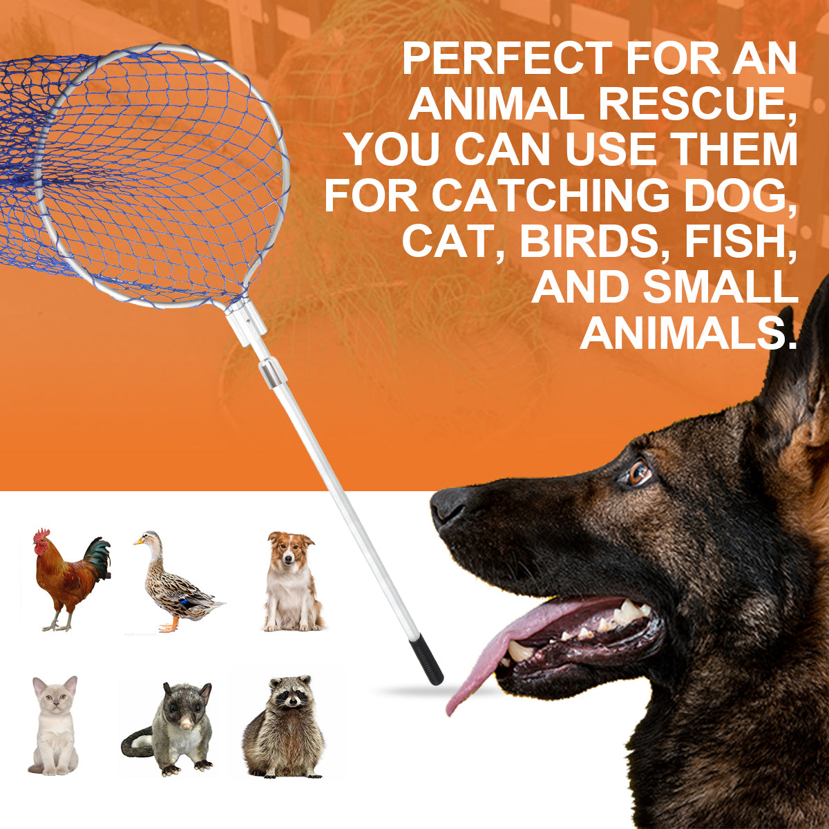 Animal Control Catch Net Pole Tool for Poultry and Small Animals (61" Handle with 17.7" Diameter Bow)