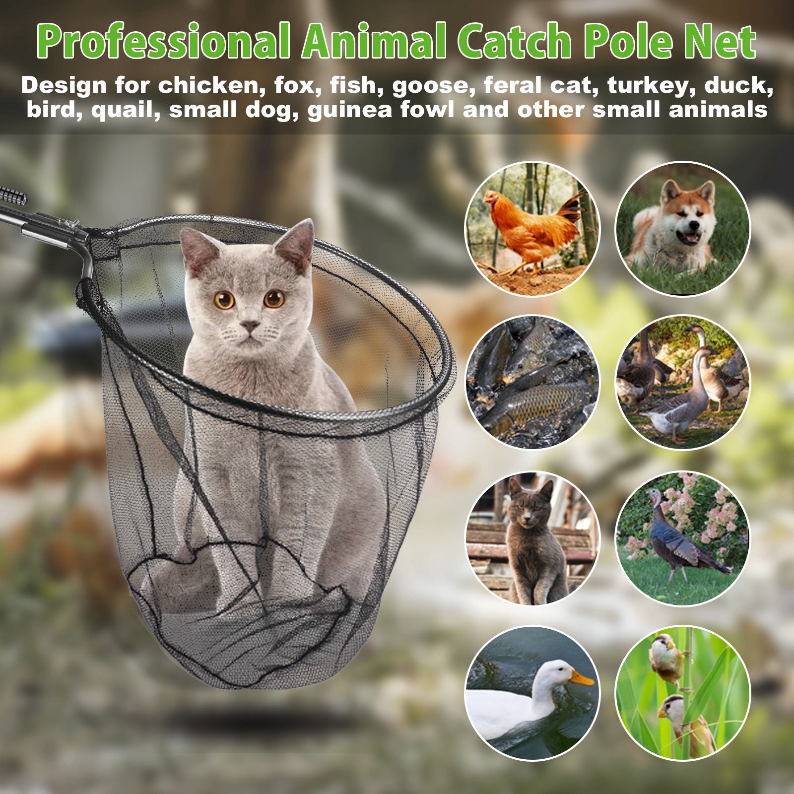 Animal Catcher Net Poultry Catching Trap Tool for Dog, Chicken, Feral ...